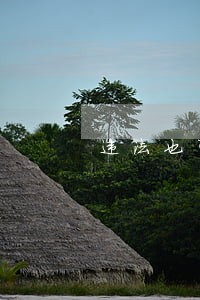 违法也可以当吗 违法也可以当吗