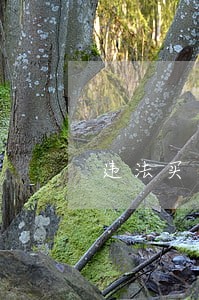 违法买卖外盘期货怎么判刑 违法买卖外盘期货怎么判刑