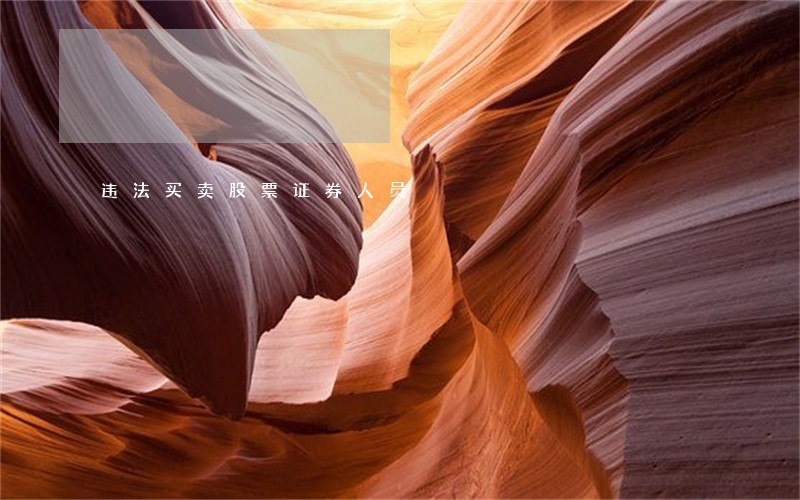 违法买卖股票证券人员