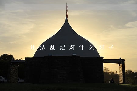 违法乱纪对什么对子