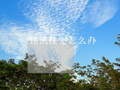 违法乱纪怎么办 违法乱纪怎么办