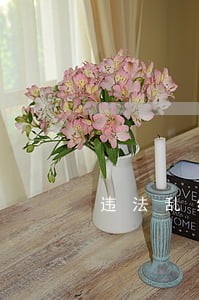 违法乱纪者 违法乱纪者