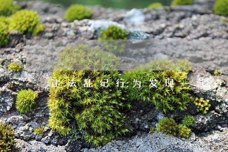 违法乱纪行为发现一起查处一起