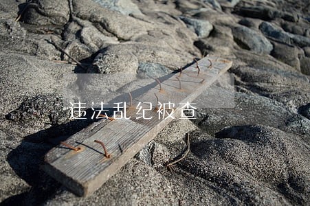 违法乱纪被查