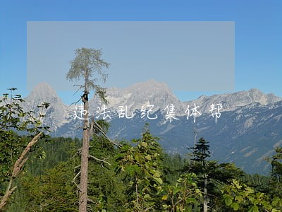 违法乱纪集体帮 违法乱纪集体帮