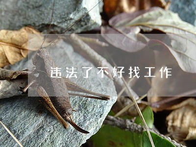 违法了不好找工作 违法了不好找工作