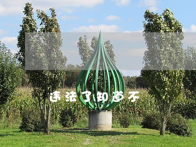 违法了知道不 违法了知道不
