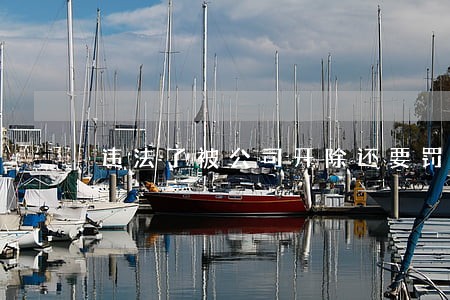 违法了被公司开除还要罚款 违法了被公司开除还要罚款