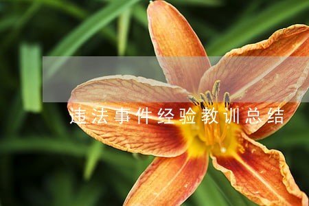 违法事件经验教训总结 违法事件经验教训总结