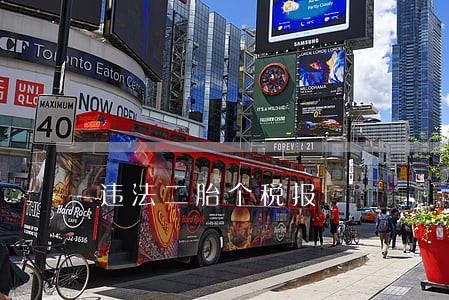 违法二胎个税报