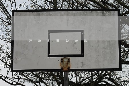 违法交通的标题 违法交通的标题