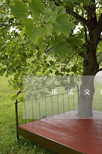 违法交通规则的行为是不是违法行为 违法交通规则的行为是不是违法行为