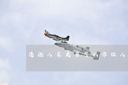 违法人员是否可以作证人