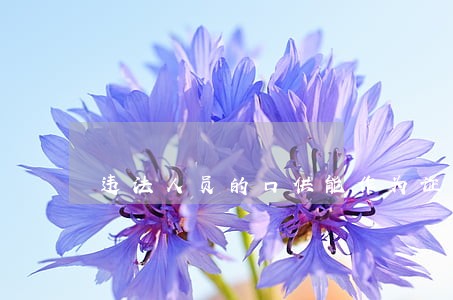 违法人员的口供能作为证据吗 违法人员的口供能作为证据吗