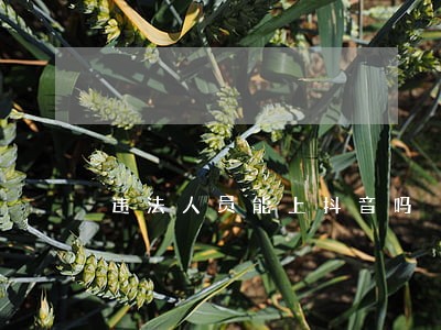 违法人员能上抖音吗