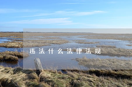 违法什么法律法规 违法什么法律法规