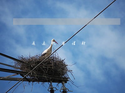 违法代客理财