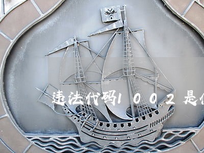 违法代码1002是什么 违法代码1002是什么