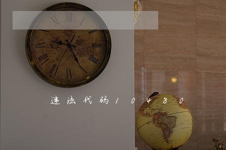 违法代码10480