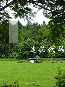 违法代码1088 违法代码1088