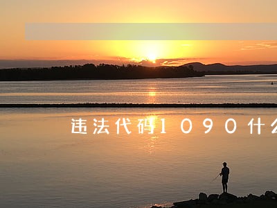 违法代码1090什么意思扣分吗 违法代码1090什么意思扣分吗