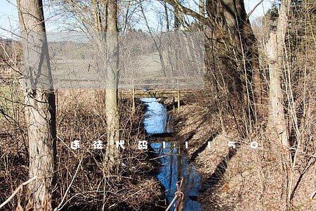 违法代码11150 违法代码11150