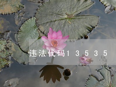 违法代码13535 违法代码13535
