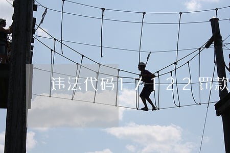 违法代码17122罚款金额 违法代码17122罚款金额