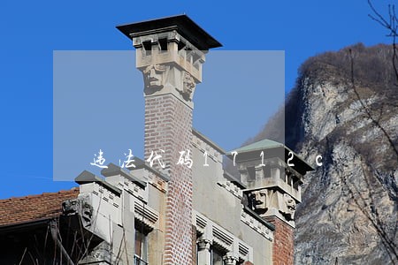 违法代码1712c 违法代码1712c