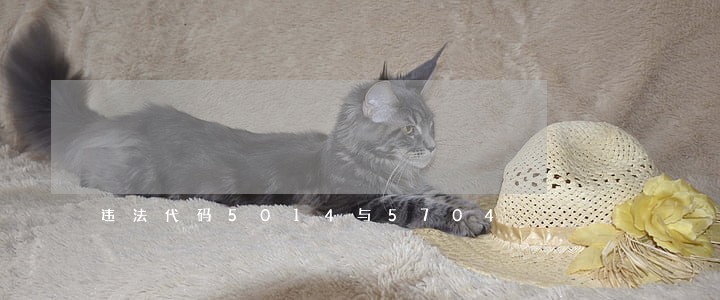违法代码5014与5704