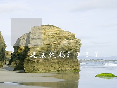 违法代码5027 违法代码5027