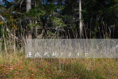 违法代码7035 违法代码7035