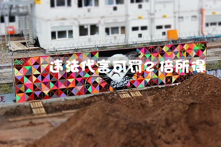 违法代言可罚2倍所得 违法代言可罚2倍所得