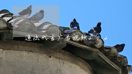 违法代言广告视频202 违法代言广告视频202