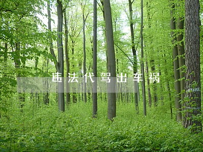 违法代驾出车祸 违法代驾出车祸
