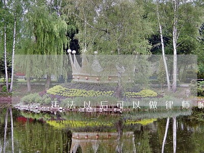 违法以后可以做律师嘛 违法以后可以做律师嘛