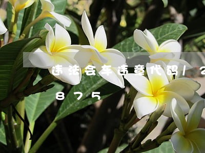 违法会车违章代码/2023020520875 违法会车违章代码/2023020520875