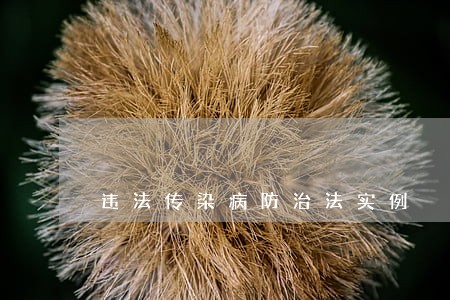 违法传染病防治法实例 违法传染病防治法实例