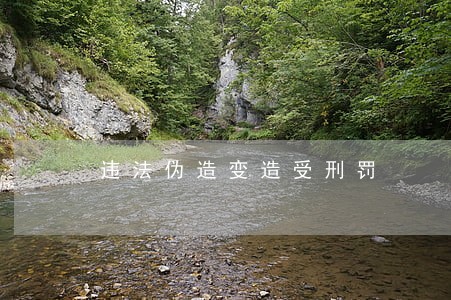 违法伪造变造受刑罚 违法伪造变造受刑罚