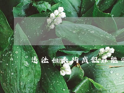 违法但未构成犯罪能保留党籍吗 违法但未构成犯罪能保留党籍吗