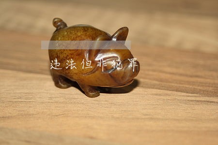 违法但非犯罪 违法但非犯罪