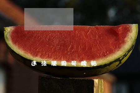 违法使用号牌贴 违法使用号牌贴