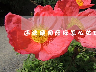 违法使用商标怎么处理 违法使用商标怎么处理