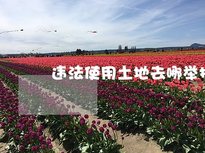 违法使用土地去哪举报 违法使用土地去哪举报
