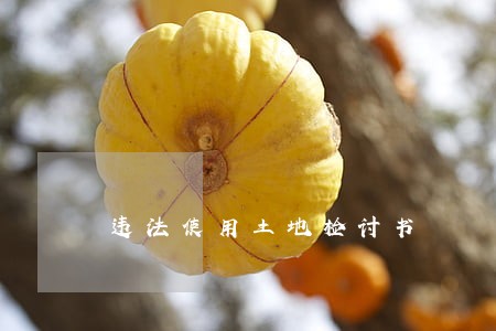 违法使用土地检讨书 违法使用土地检讨书