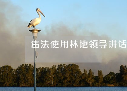违法使用林地领导讲话稿