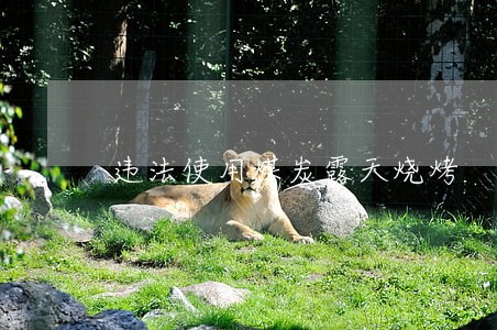 违法使用煤炭露天烧烤 违法使用煤炭露天烧烤