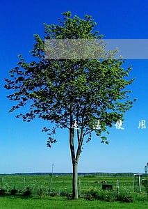 违法使用证据