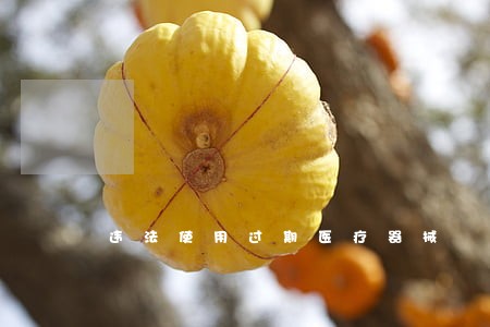 违法使用过期医疗器械 违法使用过期医疗器械