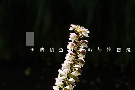 违法侦查的申诉与控告是什么 违法侦查的申诉与控告是什么